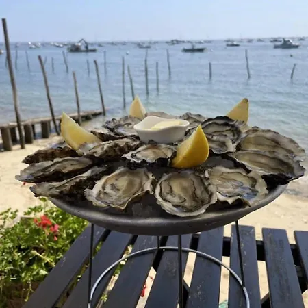 Apartmán Bassin D Arcachon Avec Balcon Et Parking *